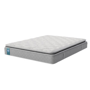 Sealy Alston Mattress