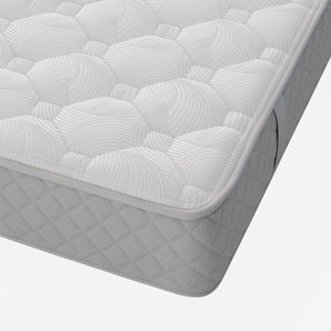 Sealy Chester Mattress