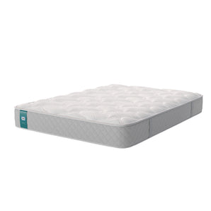 Sealy Hamilton Mattress